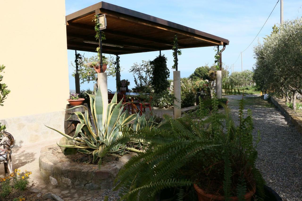 B&B Il Vigneto Trebisacce Eksteriør billede